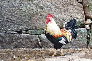 Escapadinha rural numa casa senhorial para 2 | Quinta da Mata - Chaves