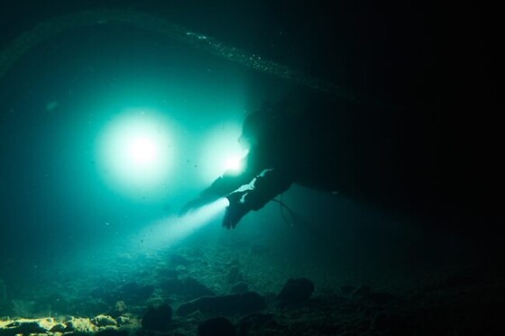 Exploração Subaquática para Mergulhadores Certificados | Anthia Diving Center, Sesimbra (Setúbal)