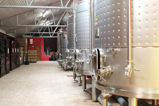 BODEGAS MALACUERA - photo 2