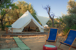 Glamping Shauri