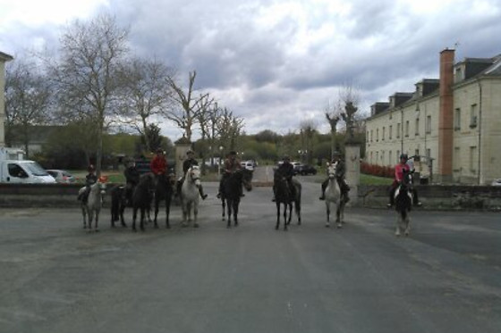 Le Haras des Ouches - photo 4