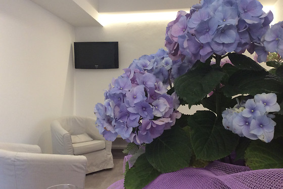 Albergo Ristorante La Rocca - photo 8