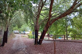 Duas noites em Bungalow com pequeno-almoço para 3 em Parque de Campismo e Caravanismo de Pedrógão Grande em Pedrógão Grande (Leiria)