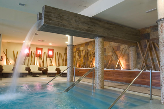 HOTEL PALACIO DE ARENALES & SPA - photo 14