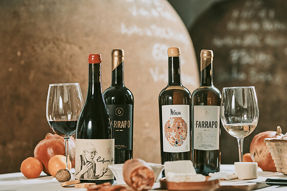 Um passeio em jipe com visita à Capela e Adega e piquenique com prova de vinhos para 1 em Gerações da Talha em Vila de Frades (Beja)