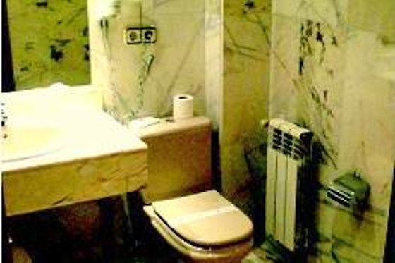 HOTEL ASTURES - photo 13