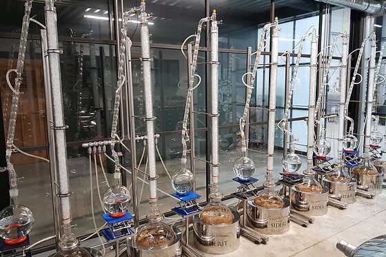 LA GIN DEL CANTABRICO SIDERIT - photo 5
