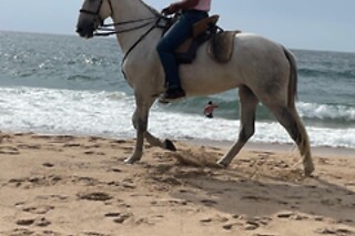 Batismo a cavalo e prova de vinhos a Dois | Quinta do Banco - Alenquer