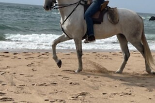 Passeio romântico a cavalo na praia da Samarra para 2 | Quinta do Banco - Sintra