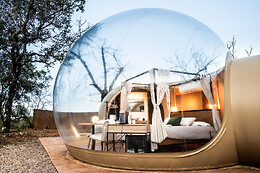 HORIZONTE BUBBLE