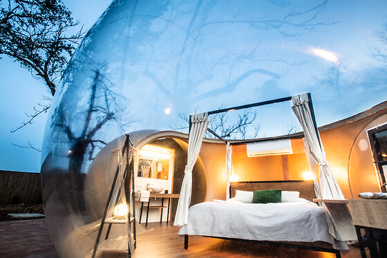 HORIZONTE BUBBLE - photo 11