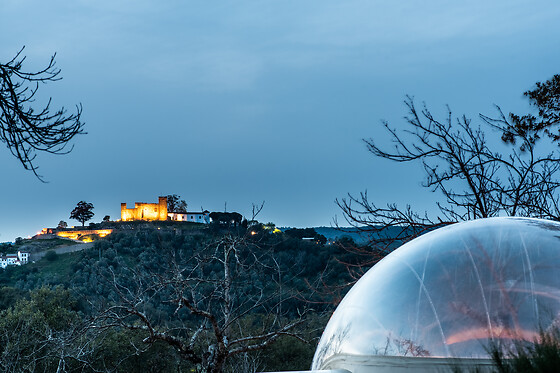 HORIZONTE BUBBLE - photo 12