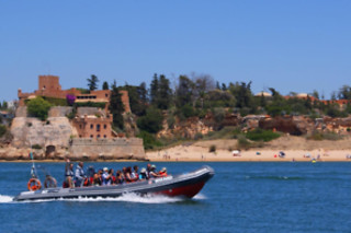 Um passeio de observação de golfinhos para 1 em Seadolphins Algarve em Portimão (Faro)