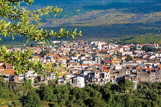 HOTEL ANDRIA - photo 5
