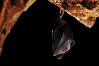 Espeleologia no Arouca Geopark para 2 | NaTour Way