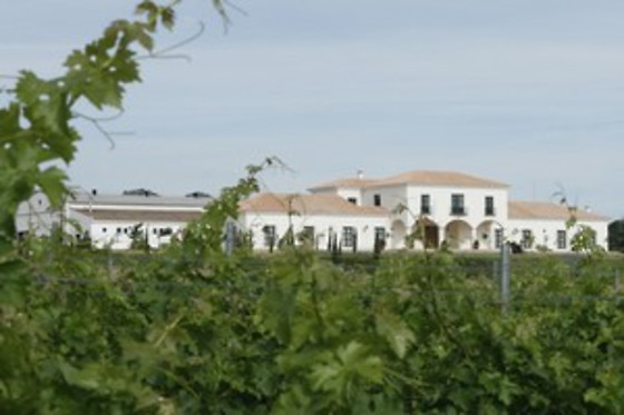 VIÑA SANTA MARINA - photo 4