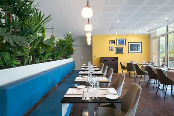 Hotel Birdy - photo 5