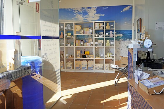 CONSERVAS 5Ñ DE SANTOÑA - photo 8