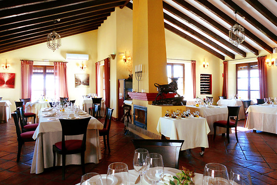 HOTEL SPA & EVENTS FUENTE DEL SOL - photo 12