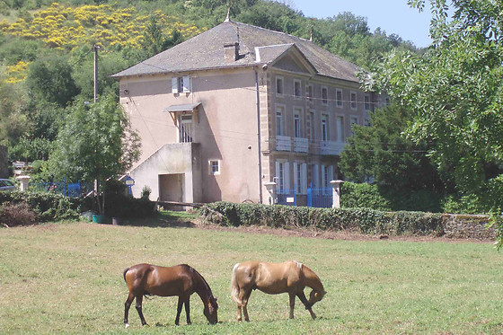 Domaine du Vern - photo 2