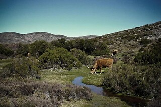 Estadia com piquenique e atividades no Gerês | Hotel Castrum Villae - Castro Laboreiro