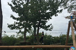 Fantapark Adventure Biassono