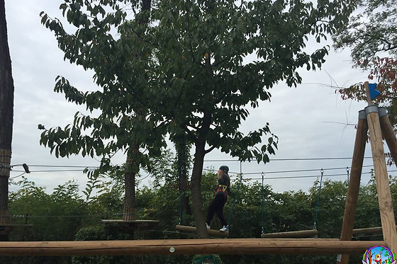 Fantapark Adventure Biassono - photo 6
