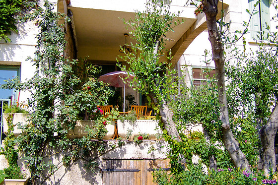 La Salsepareille - photo 8