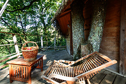 Domaine des Vaulx