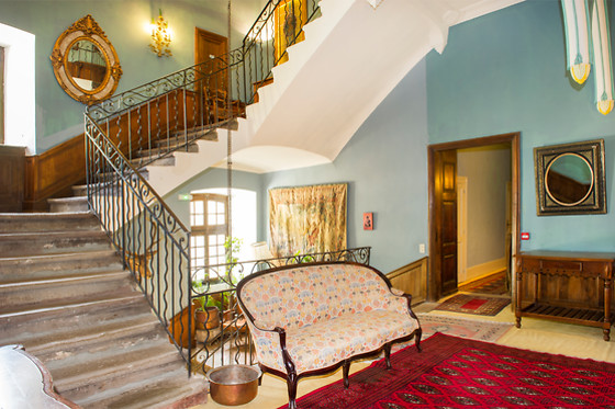 Château d'Ayres - photo 15
