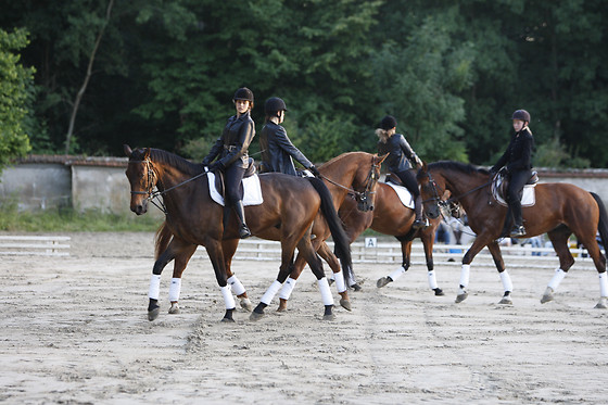 Haras maison blanche - photo 2