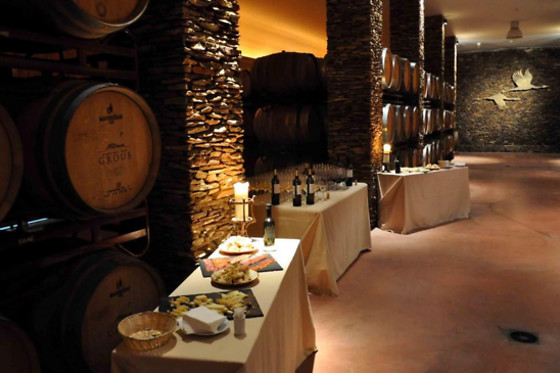 Visita à Adega com Prova de Vinhos para 2 Pessoas | Herdade dos Grous