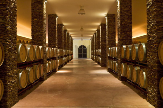Visita à Adega com Prova de Vinhos para 2 Pessoas | Herdade dos Grous