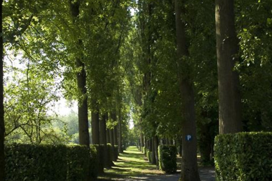 Chateau Bagatelle - photo 12