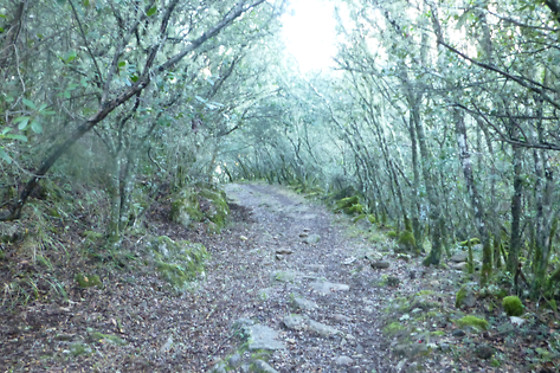 RUTAS XANZÁ - photo 4