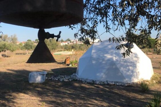 Uma noite em bolha para 2 em Forest Domes (Setúbal)