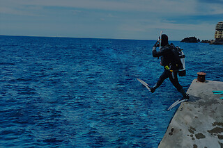Batismo de mergulho | Para 1 - 4h | Cipreia Dive Club - Funchal
