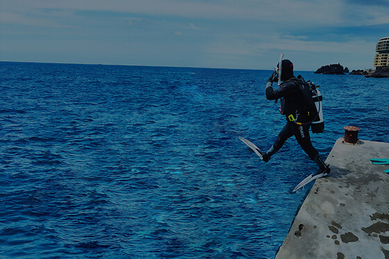 Batismo de mergulho | Para 1 - 4h | Cipreia Dive Club - Funchal