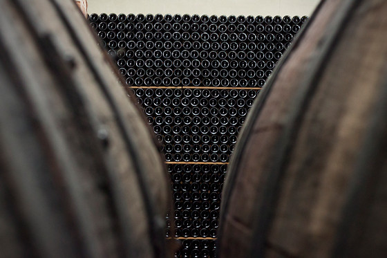 BODEGAS GRUPO RUBERTE - photo 2