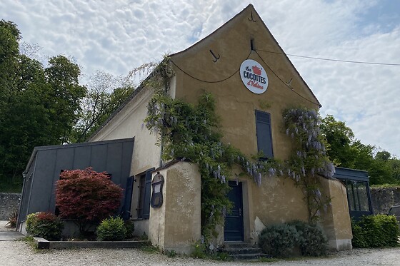 Les cocottes d'Hélène - photo 0
