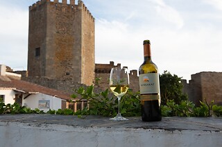 Uma noite para 2 em Janela do Castelo em Monsaraz (Évora)