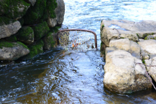 Passeio Todo-o-Terreno para 1 com a Melgaço Whitewater em Melgaço, Viana do Castelo