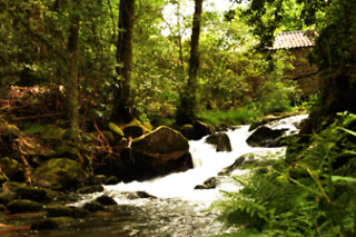 Passeio Todo-o-Terreno para 1 com a Melgaço Whitewater em Melgaço, Viana do Castelo