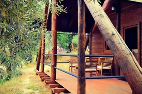 Uma noite em Cabana com pequeno-almoço para 2 em Quinta do Ragal em Fundão (Castelo Branco)