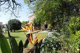 Le clos des vignes