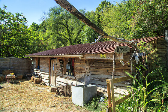 La cabane aux loups - photo 0