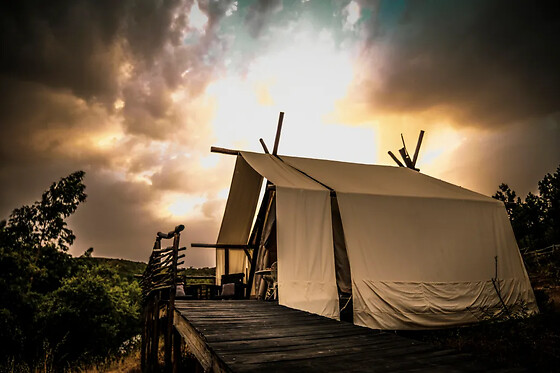 Quinta Alma, ecological Retreat Farm - photo 12