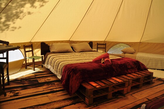 Quinta Alma, ecological Retreat Farm - photo 4