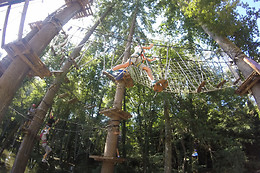 Associazione Adrenalina Parco Avventura Casentino