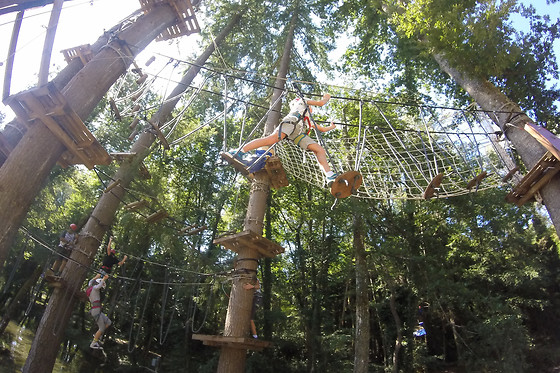 Associazione Adrenalina Parco Avventura Casentino - photo 1